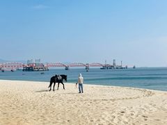 -玫瑰海岸文化旅游度假区