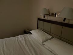 -燕山大酒店