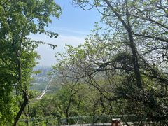 -大蜀山国家森林公园