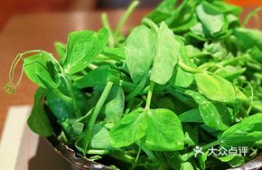 Leshan Air-Freighted Pea Shoots