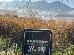 -大九湖