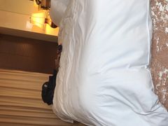 -芜湖白金汉爵大酒店