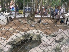 -东部华侨城