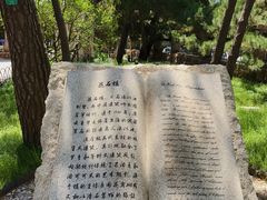 -八大关景区