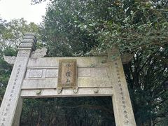 -普陀山风景区-佛顶山