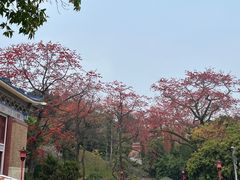 -广州中山纪念堂