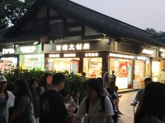 -印象西湖·最忆是杭州实景演出