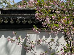 -秋霞圃