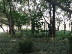 -江头公园