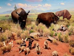 -陕西自然博物馆