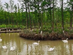 -云碧峰国家森林公园