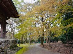 -醍醐寺