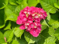 -狼山风景名胜区