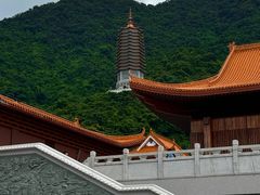 -深圳仙湖植物园