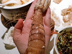 -加餐海鲜自助(宝龙一城店)