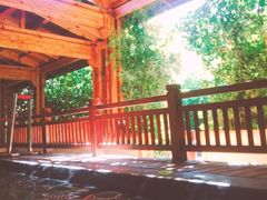 -仁爱团泊湖温泉中心