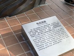 -广东惠东海龟国家级自然保护区