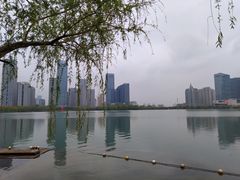 -天鹅湖体育公园