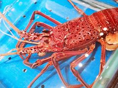 -徐记海鲜(曲江南湖店)