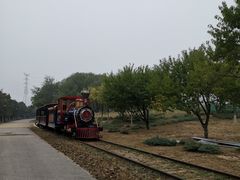 -永定河休闲森林公园