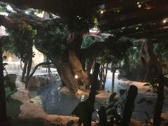 -中铁花水湾温泉酒店(大邑店)