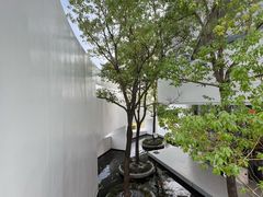 -紫马岭公园