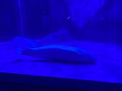 -上海海昌海洋公园-冰山北极馆