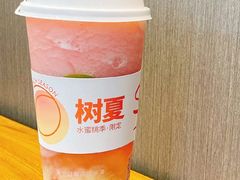 -树夏(金楠天街店)