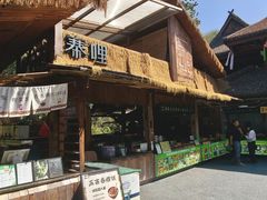 -西双版纳原始森林公园