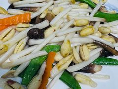 -朱记乳鸽王·非遗石岐乳鸽·全鸽宴(大兴旗舰店)