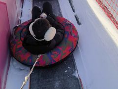 -沈阳奥体冰雪嘉年华