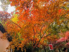 -虞山风景区