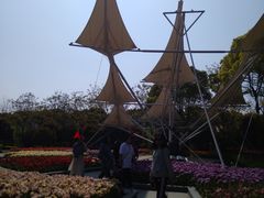 -上海鲜花港