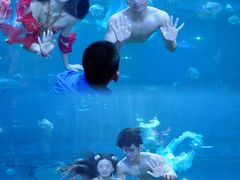 -华夏文旅海洋公园