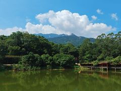 -清水湖度假村(罗浮山美食地标店)