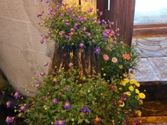 -浔岚云舍mist静谧观景美宿(丽江古城店)