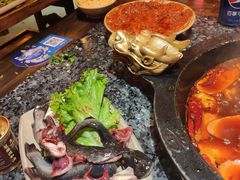 -蜀大侠火锅(建设路第五大道店)