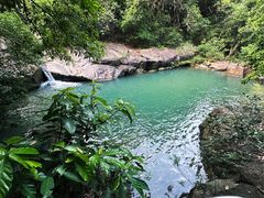 -广州白江湖森林公园