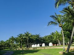 -清水湾旅游度假区