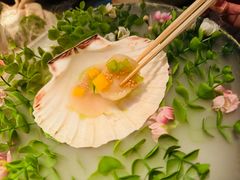 -地球美食剧场