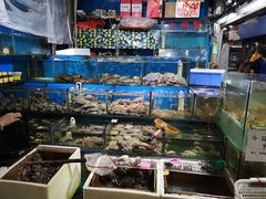 -岳各庄批发市场(西四环中路店)