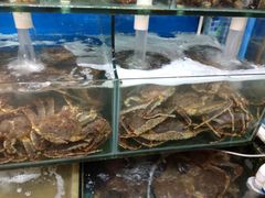 -蚝专家(北滘店)