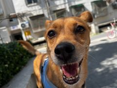 -纳吉亚猫专科动物医院·北北分院