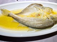 鸡汁黄鱼-壹品宴掦·淮扬菜(新牌坊店)
