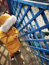 -萌宠亲子动物乐园(槐房万达店)