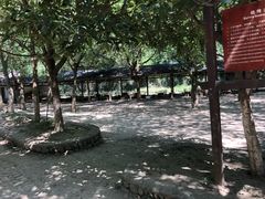 -杭州双溪漂流景区