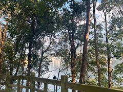 -广州市流溪河国家森林公园