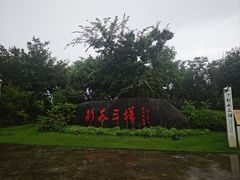 -三垟湿地