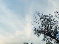 -花园口旅游区