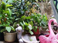 -鱼乐岛餐厅·户外花园主题餐厅